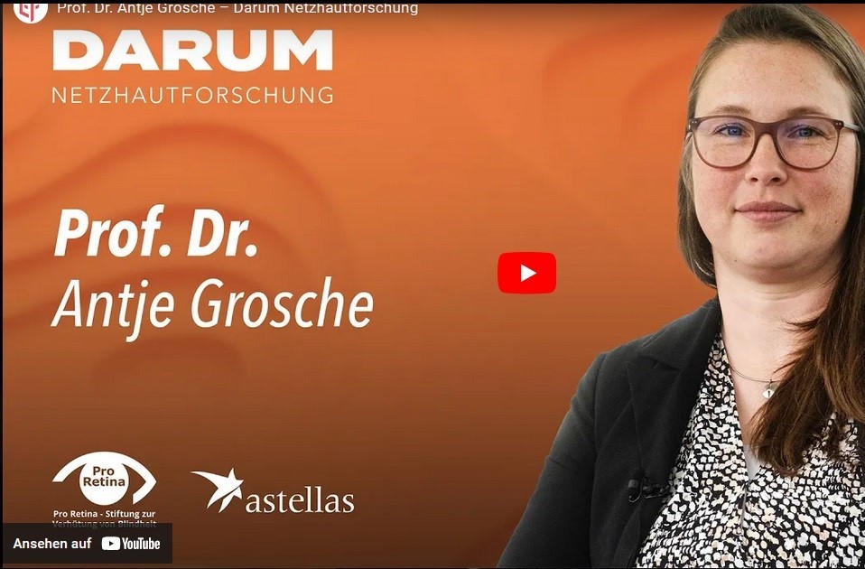 Das Bild zeigt Prof. Dr. Antje Grosche im Kontext einer Ausgabe des Video-Podcast Darum Netzhautforschung